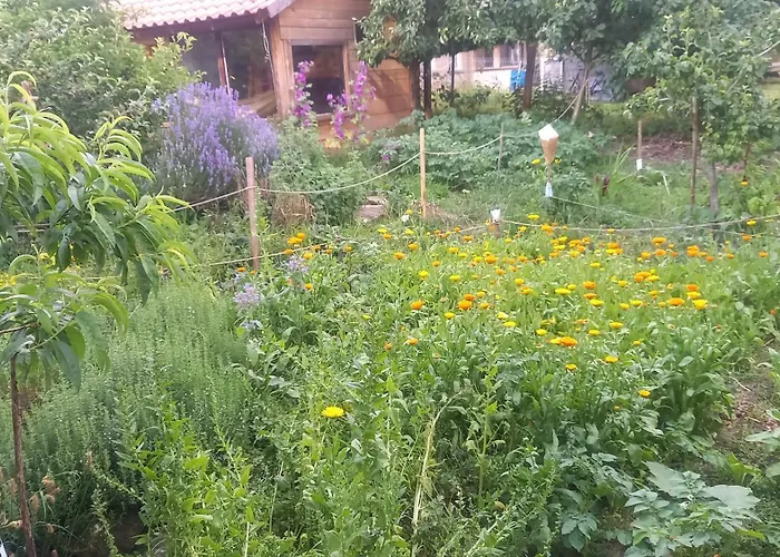 Naturlehmhaus